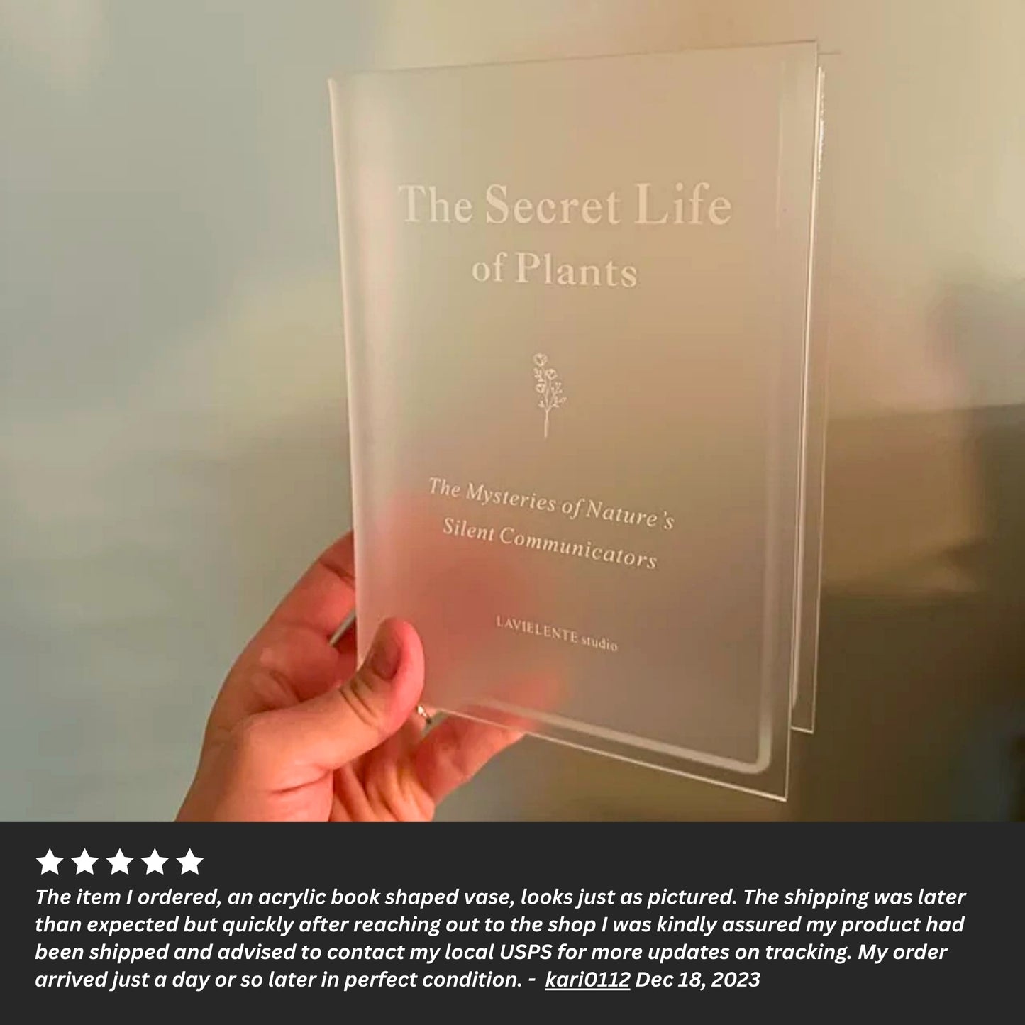 The Secret Life of Plants Acrylic Book Vase Unique Home Decor for Book and Flower Lovers